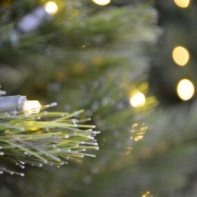 210cm Siberian Spruce + Warm LED - afbeelding 4