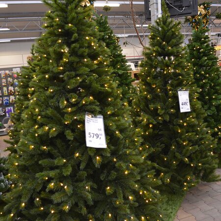 210cm Siberian Spruce + Warm LED - afbeelding 6