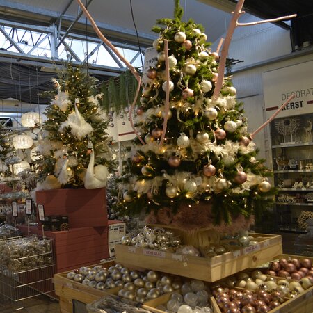 210cm Siberian Spruce + Warm LED - afbeelding 12