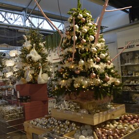 210cm Siberian Spruce + Warm LED - afbeelding 12