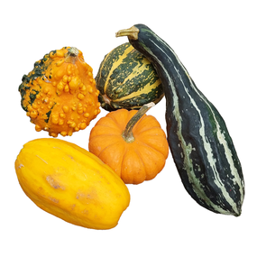 Sierfruit