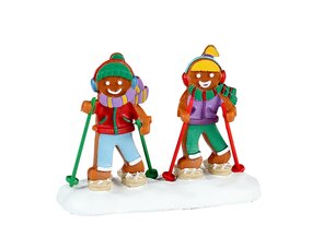 Snowshoe Walkers