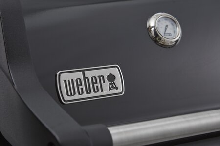 Weber Spirit e-325 gbs - afbeelding 5