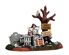 WELCOME TO THE BONEYARD