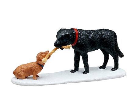 Who‘s Pulling Who?