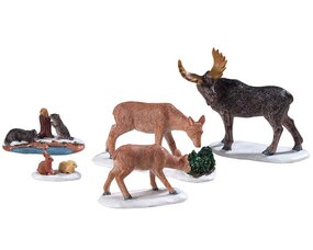 Wild Animals, set van 5