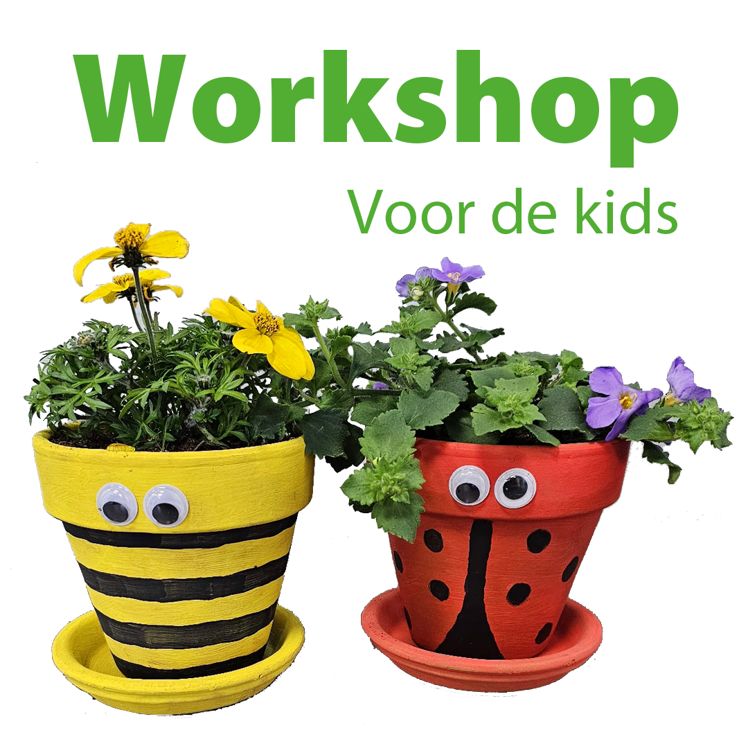 olie klinker Editor Workshop 03 mei om 15:00 Moederdag cadeau maken voor kids - Tuincentrum  Almeer Plant