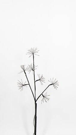 Zwarte Tak Dandelion LED Classic Warm H70cm - afbeelding 1
