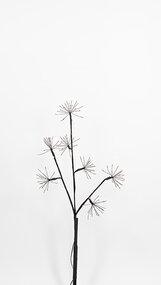 Zwarte Tak Dandelion LED Classic Warm H70cm - afbeelding 2