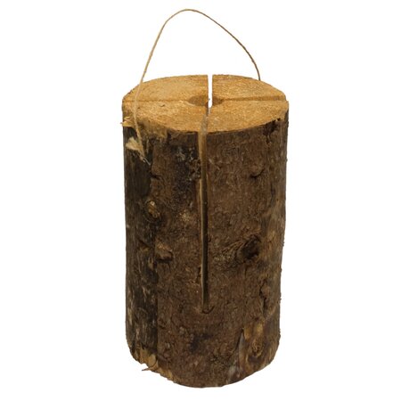 Zweedse fakkel