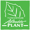 Alméér Plant: tuinmeubelen, kunstkerstbomen, planten en meer voor huis & tuin in Almere